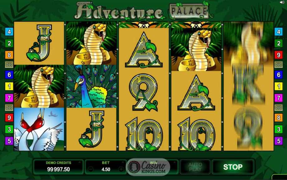 The Thrilling Transformation of Casino Gaming