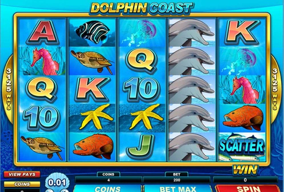 Dolphin Coast
